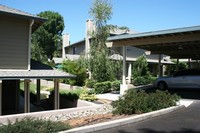 Camelot Woods Condominiums in Cameron Park, CA - Building Photo - Building Photo