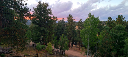 128 Yew Ln in Bailey, CO - Foto de edificio - Building Photo