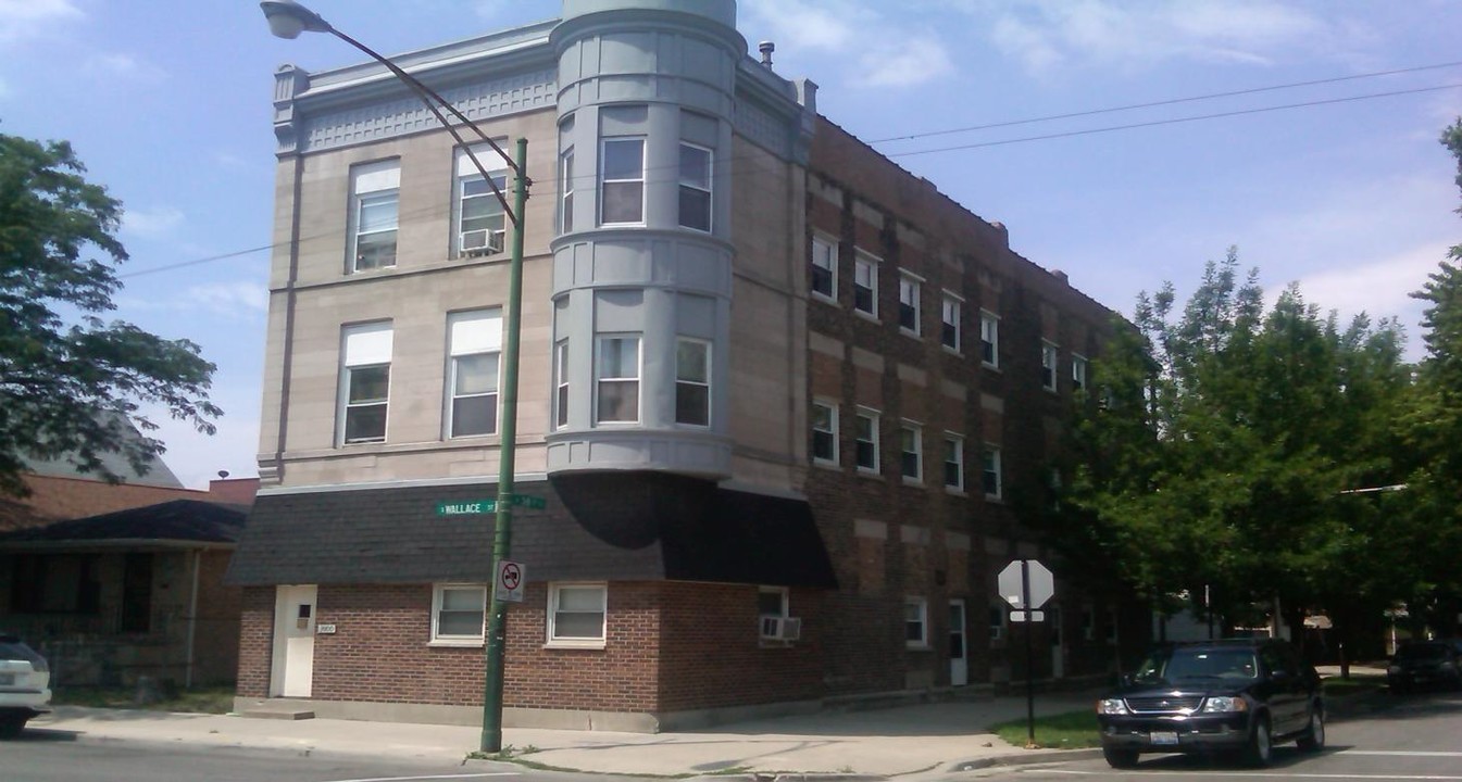 3800 S Wallace Ave in Chicago, IL - Building Photo