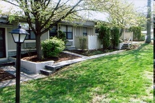 Canyon & Knox Landing Apartments