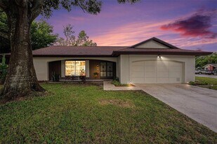 13013 Sawmill Way in Hudson, FL - Building Photo