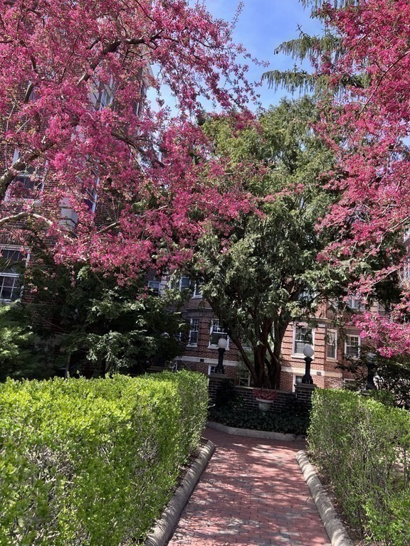 41 Linnaean St in Cambridge, MA - Building Photo - Building Photo