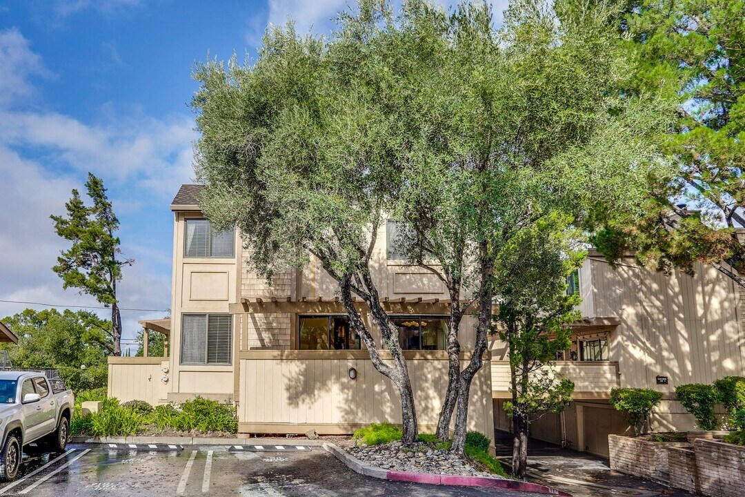 16126 Loretta Ln in Campbell, CA - Building Photo