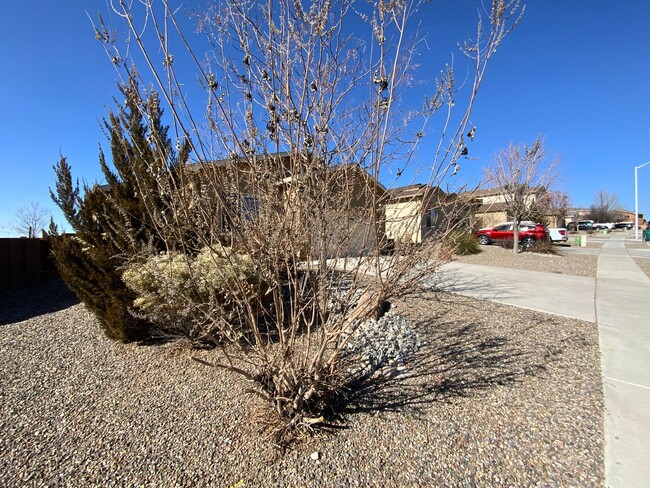 3833 Havasu Falls St NE in Rio Rancho, NM - Building Photo - Building Photo