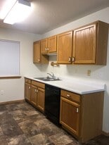 356 S Hill St in Salem, SD - Building Photo