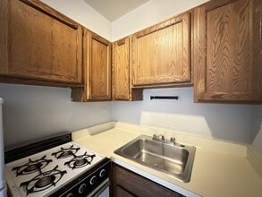 457 W Melrose St in Chicago, IL - Building Photo - Building Photo