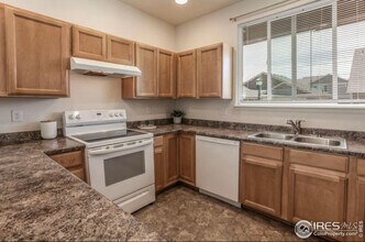 2113 Day Spring Dr in Windsor, CO - Building Photo - Building Photo