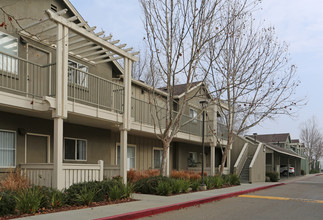 Owl's Landing in Livermore, CA - Building Photo - Building Photo