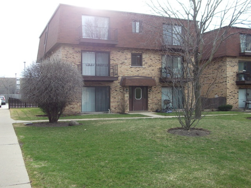 9717 Bianco Terrace in Des Plaines, IL - Building Photo