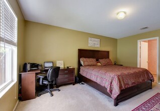 4015 Angel Trumpet in San Antonio, TX - Building Photo - Building Photo