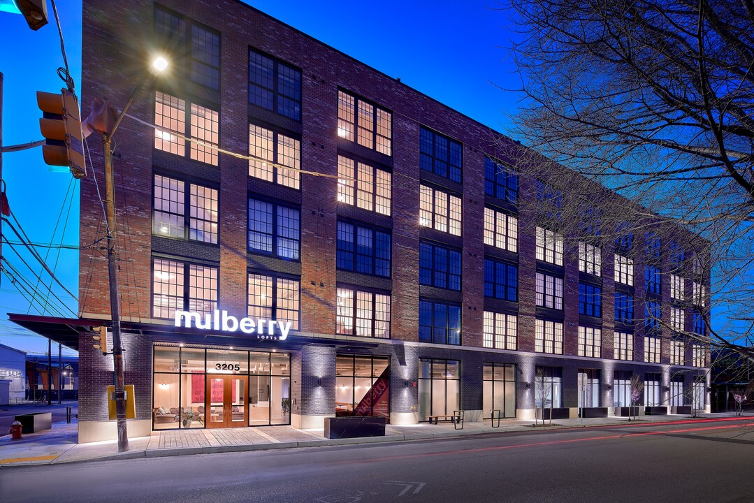 Mulberry Lofts in Pittsburgh, PA - Building Photo