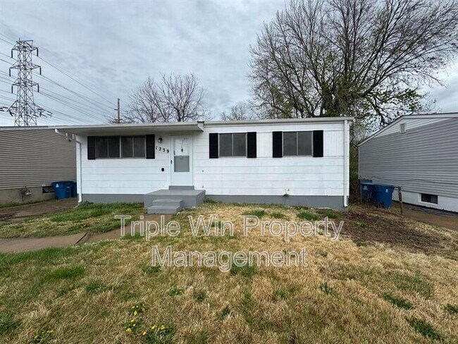 1239 Rhea Ave in St. Louis, MO - Building Photo - Building Photo