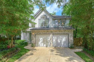 35 Winter Wheat Pl in The Woodlands, TX - Building Photo - Building Photo