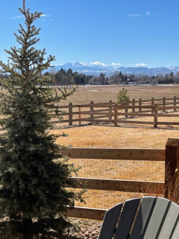 5383 Homeward Dr in Timnath, CO - Building Photo - Building Photo