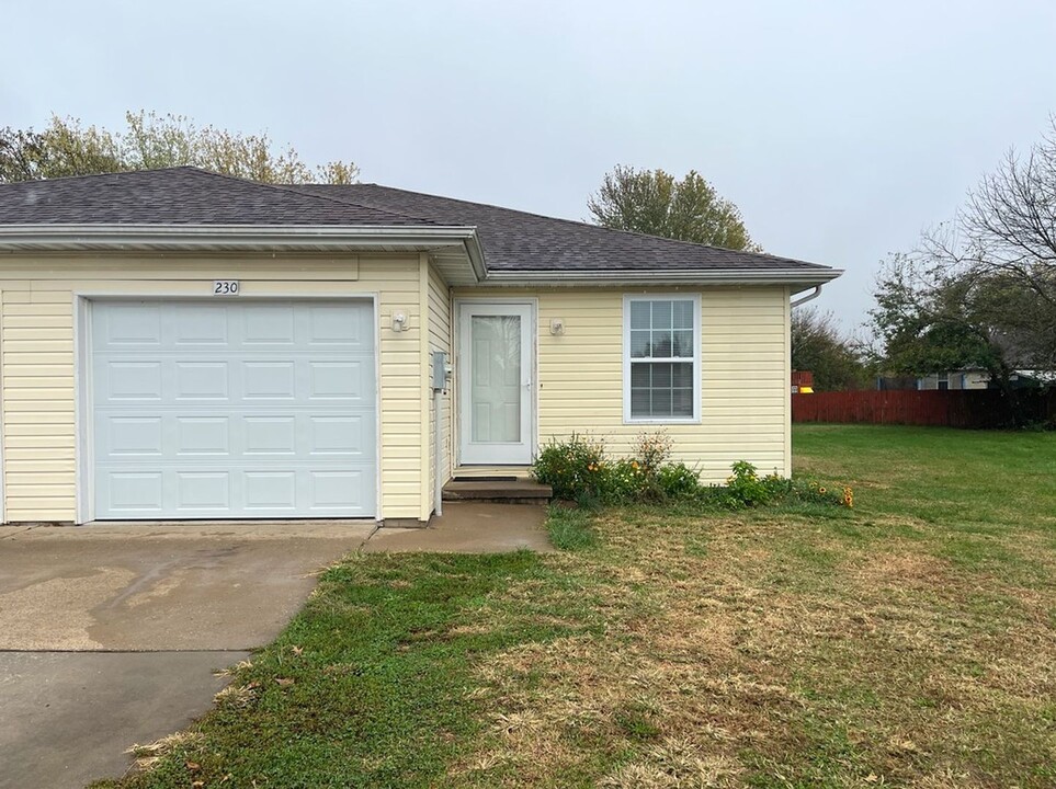 230 E Eagle Cir in Clever, MO - Building Photo