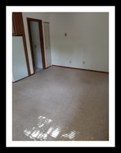 1111 W Minnehaha Ave in St. Paul, MN - Building Photo - Building Photo