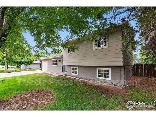 4329 Main St in Timnath, CO - Foto de edificio - Building Photo