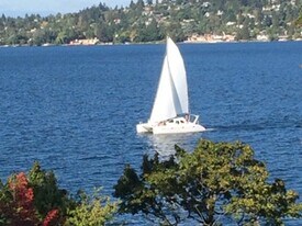 4035 51st Ave S in Seattle, WA - Building Photo