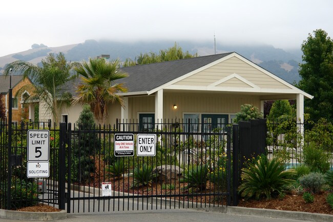 Meadowview Apartments in Santa Rosa, CA - Building Photo - Building Photo