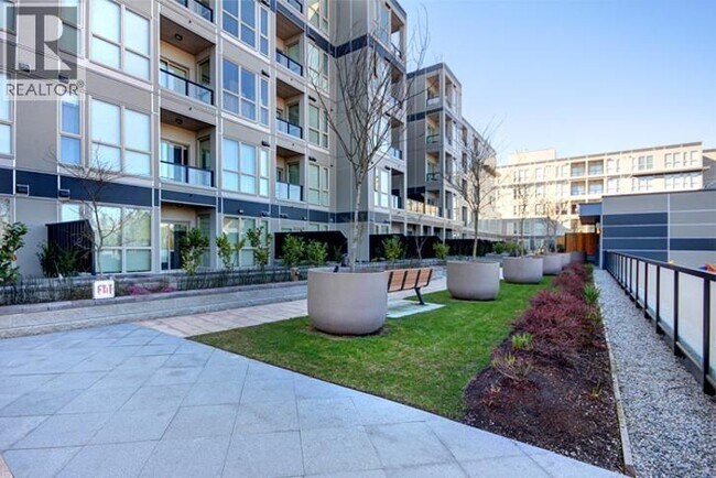 4099 Stolberg St in Richmond, BC - Building Photo - Building Photo