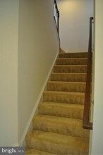 43311 Novi Terrace in Ashburn, VA - Building Photo - Building Photo