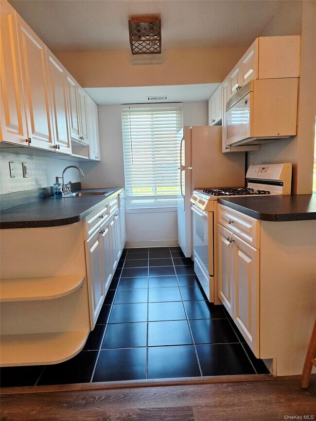 3 Osage Ct in Coram, NY - Building Photo - Building Photo