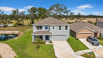 13295 Mylion Wy in Spring Hill, FL - Building Photo