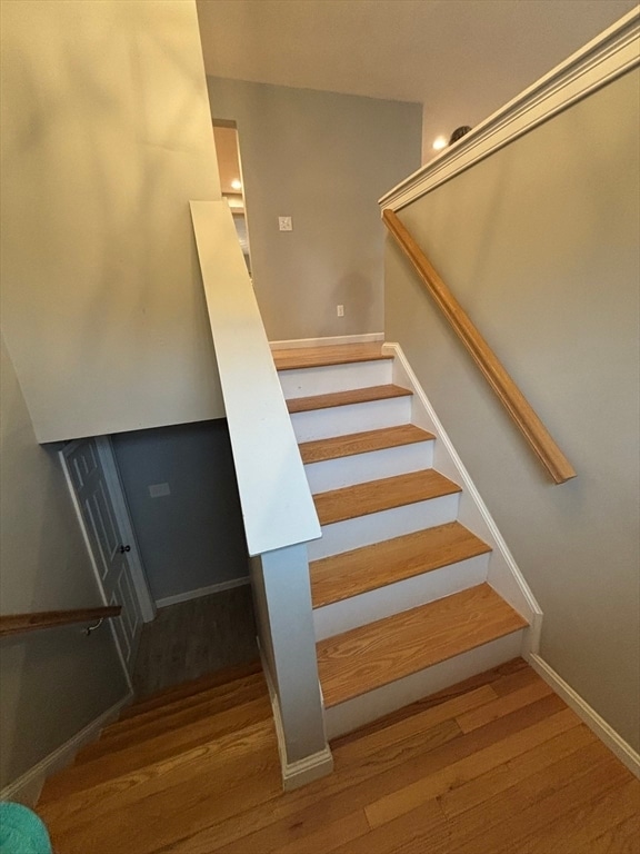 37 Westport Rd in Worcester, MA - Building Photo - Building Photo