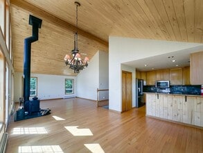 46 Timothy Ct in Fairplay, CO - Building Photo - Building Photo