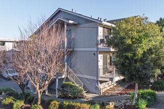 362 Alida Way in South San Francisco, CA - Foto de edificio - Building Photo