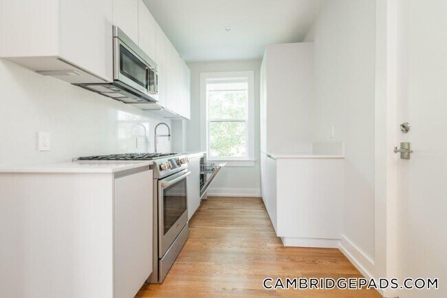 19A Forest St, Unit 31 in Cambridge, MA - Foto de edificio - Building Photo