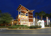 New Tampa