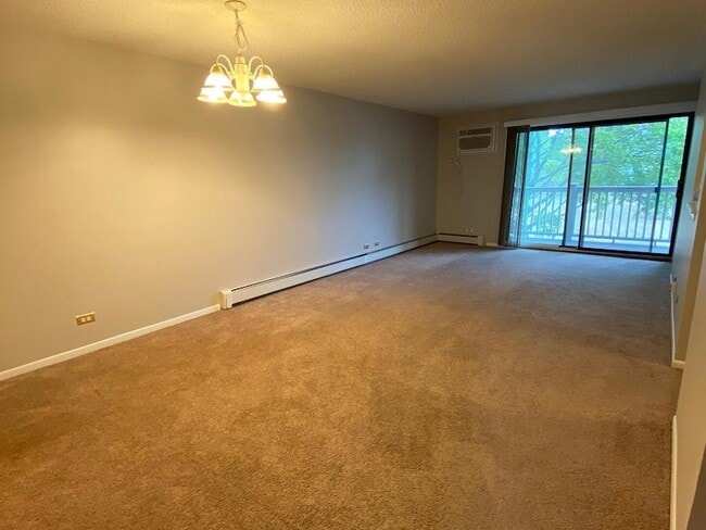 125 S Gregory St, Unit 10 in Aurora, IL - Foto de edificio - Building Photo