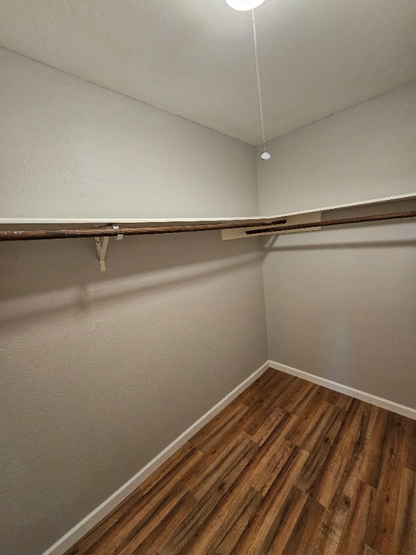 19403 Youngtree Cir in Houston, TX - Building Photo - Building Photo