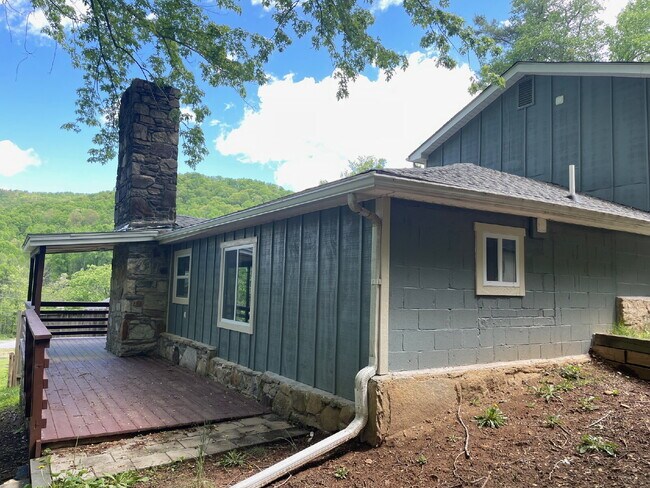86 Chestnut Hill Rd in Gerton, NC - Building Photo - Building Photo