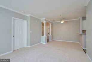 6990 Falls Reach Dr in Falls Church, VA - Building Photo