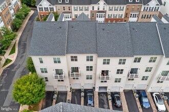 22358 Concord Station Terrace in Ashburn, VA - Building Photo - Building Photo