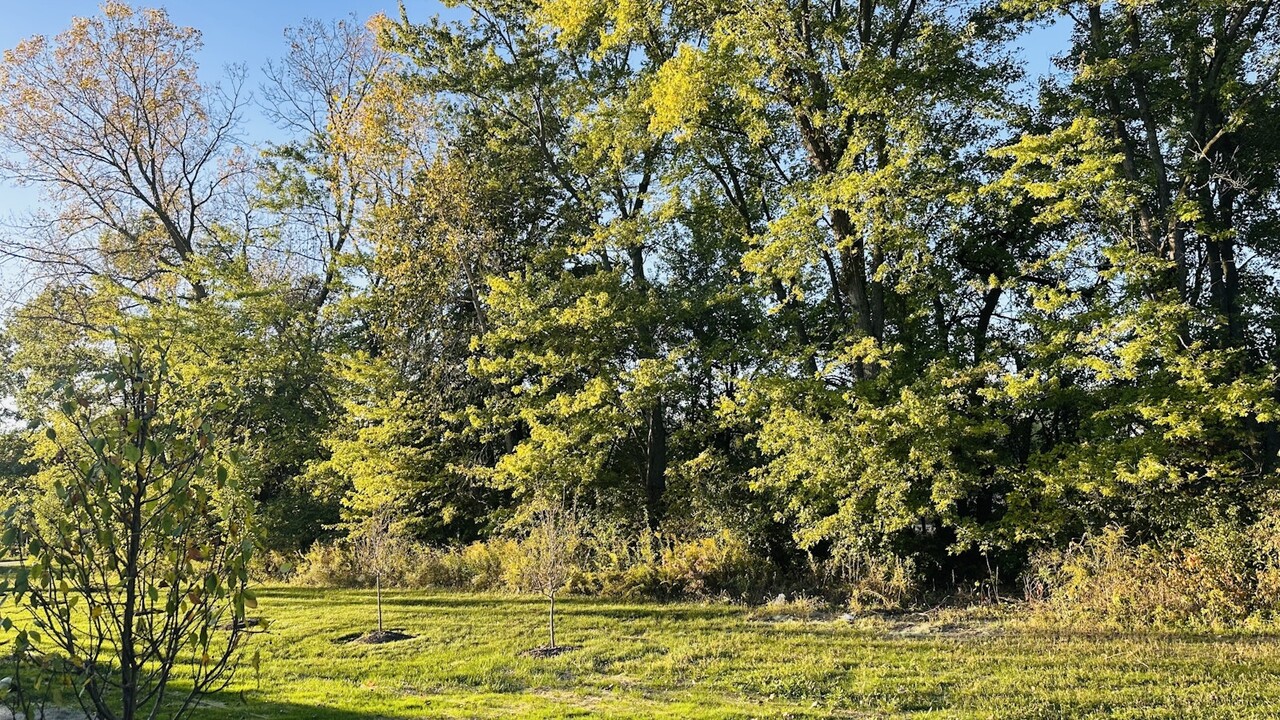 1806 Trinity Ln in Westfield, IN - Foto de edificio