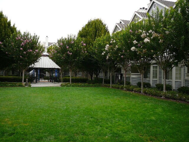 617 Arcadia Ter in Sunnyvale, CA - Building Photo