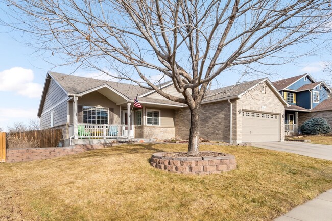 11077 W 55th Ln in Arvada, CO - Building Photo - Building Photo