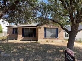 833 Picadilly Dr in Pflugerville, TX - Building Photo