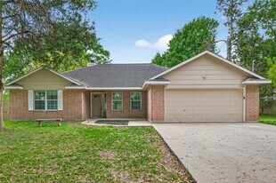 11655 Lakeview Manor Dr in Willis, TX - Building Photo