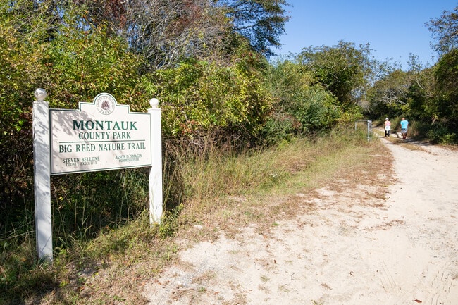 Casas Alquiler en Montauk, NY