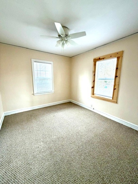 706 Foley Ave in Champaign, IL - Building Photo - Building Photo