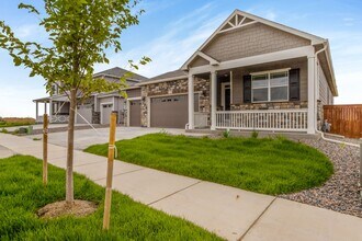 1721 Summer Bloom Dr in Windsor, CO - Building Photo - Building Photo