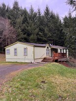 39005 NE 207th Ave in Amboy, WA - Building Photo