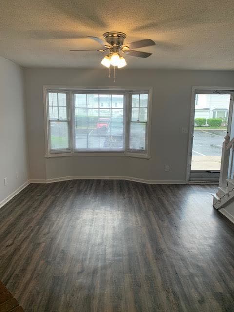 344 Haven Dr in Greenville, NC - Building Photo - Building Photo
