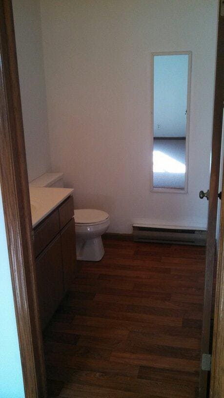 332 Wells St in Delafield, WI - Building Photo - Building Photo