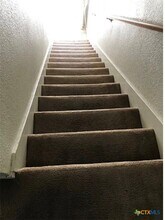 3803 Ys Pak Ct in Killeen, TX - Building Photo - Building Photo