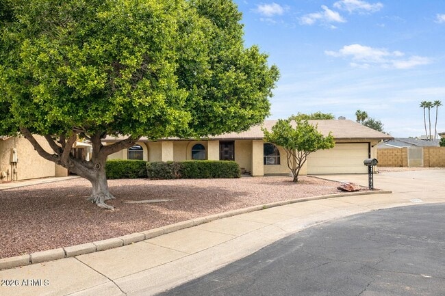 3838 W Dailey St in Phoenix, AZ - Building Photo - Building Photo